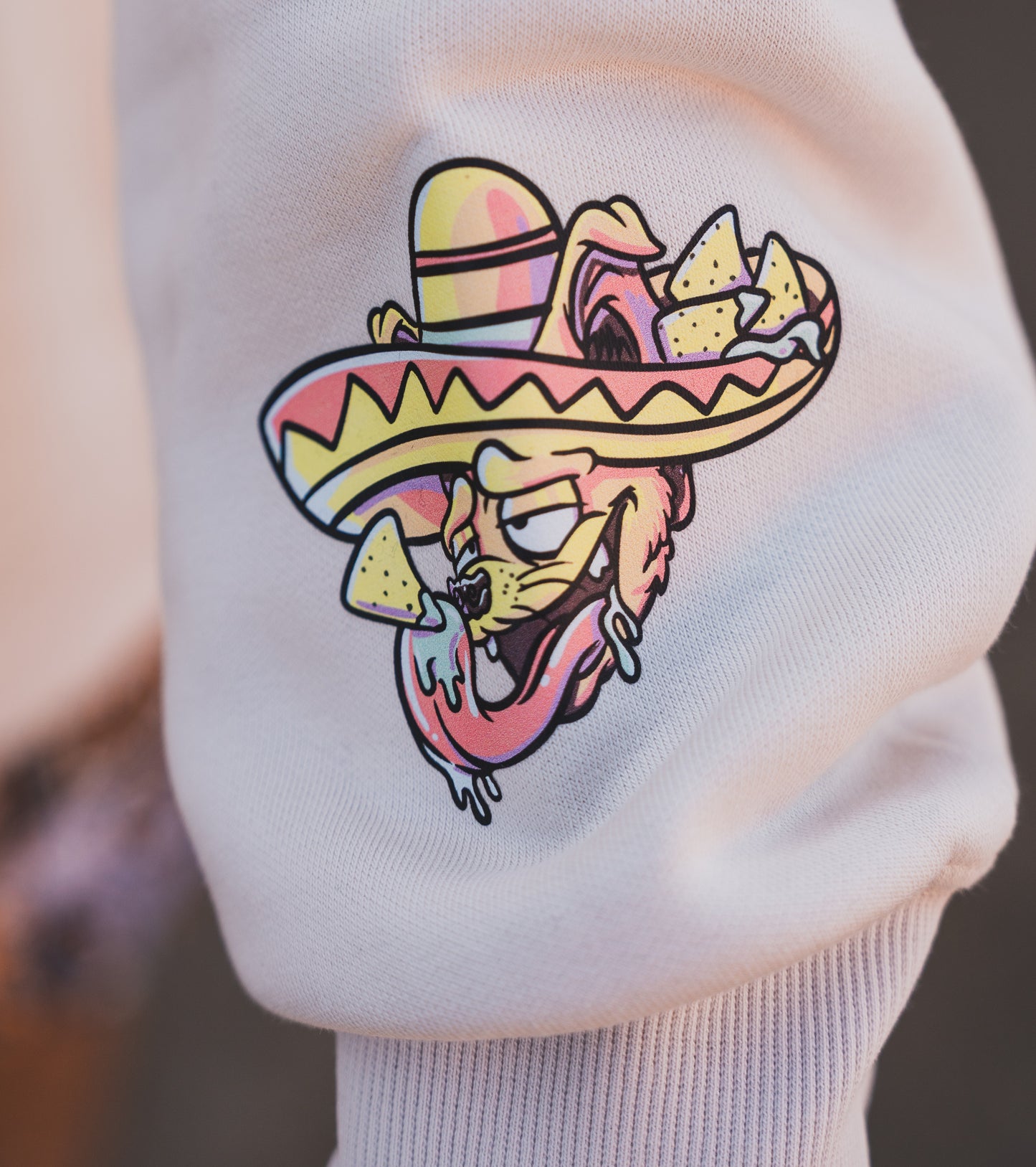 Chihuahua Jumper
