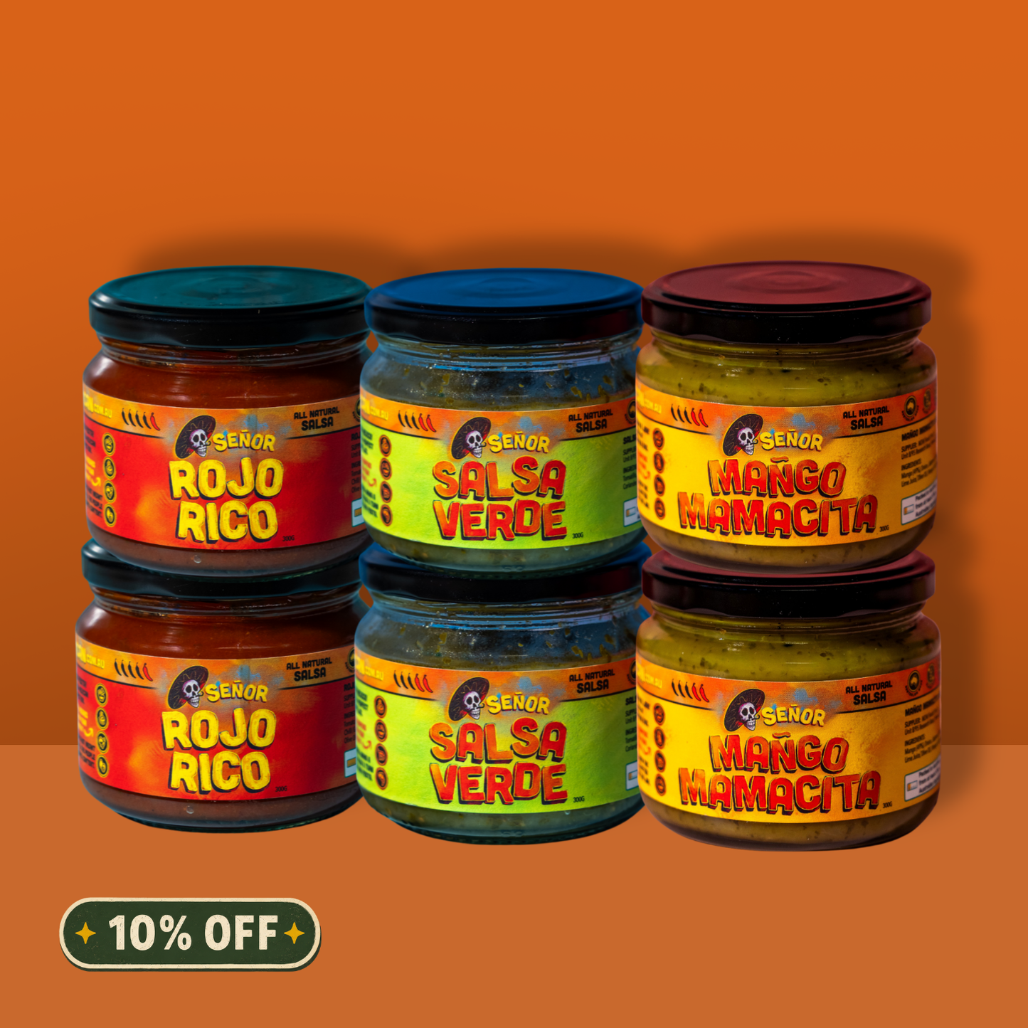 THE SALSA TOUR